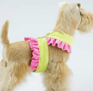 Pinafore Tinkie Dog Harness